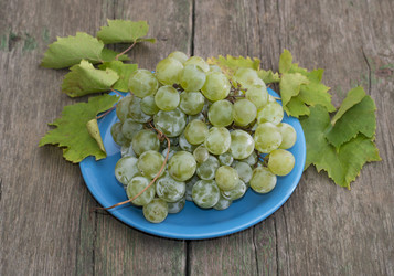 Similar image 8814612