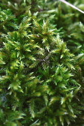 Similar image 8814619