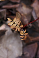 Similar image 8814621