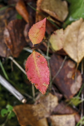 Similar image 8814623