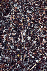 Similar image 8814626