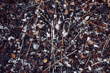 Similar image 8814627