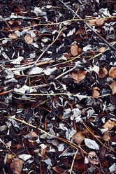 Similar image 8814630