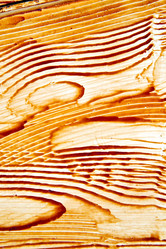 Similar image 8815260