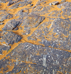 Similar image 8815322