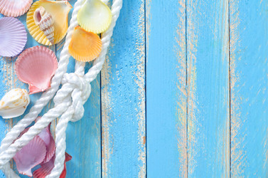 Similar image 8816269