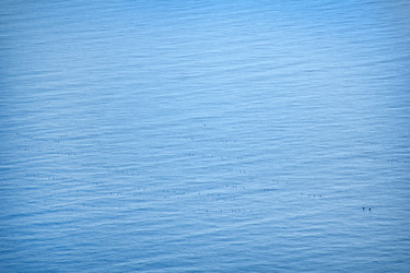 Similar image 8817032