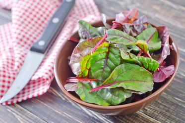 Similar image 8817550