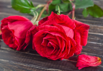 Similar image 8818014