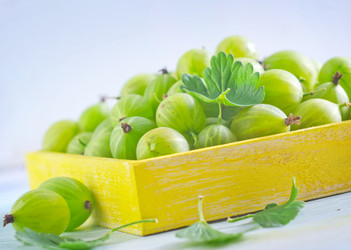 Similar image 8818481