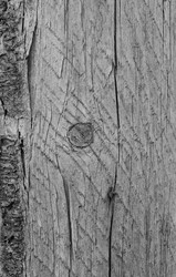 Similar image 8818485