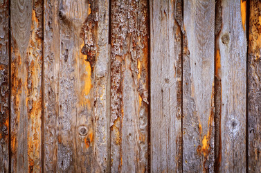 Similar image 8818500