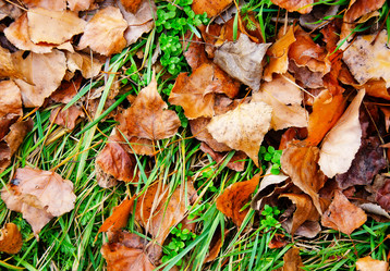 Similar image 8818509