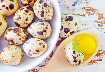 Similar image 8818529