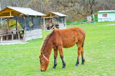 Similar image 8818551