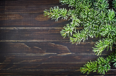 Similar image 8818634