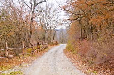 Similar image 8819163