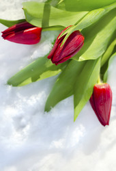 Similar image 8820457