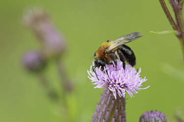 Similar image 8825348