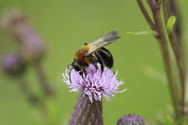 Similar image 8825350