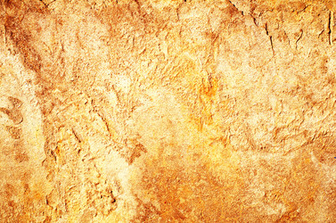 Similar image 8828001