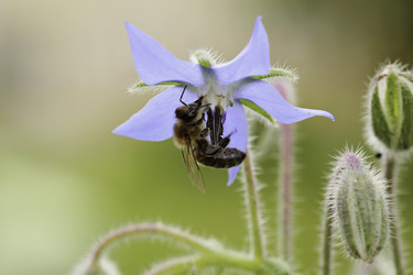 Similar image 8830903