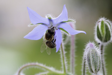 Similar image 8830906