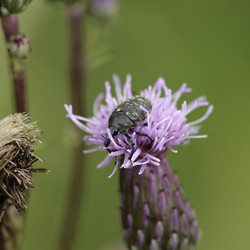 Similar image 8830909