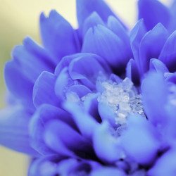 Similar image 8830911