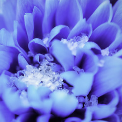 Similar image 8830913