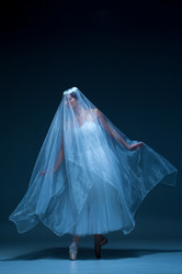 Similar image 8830988