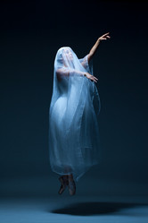 Similar image 8831002