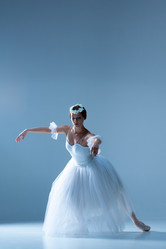 Similar image 8831114