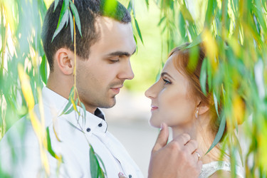 Similar image 8862433