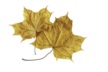 Similar image 8862932