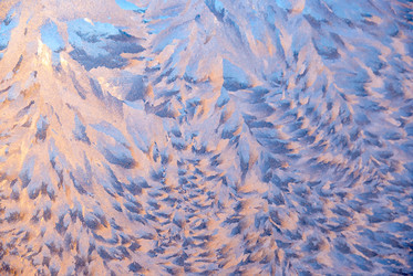 Similar image 8863155