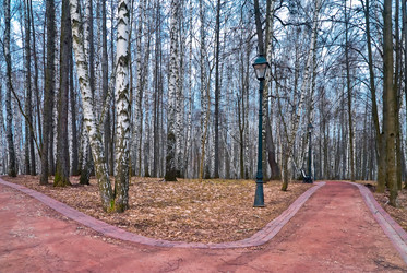 Similar image 8863493