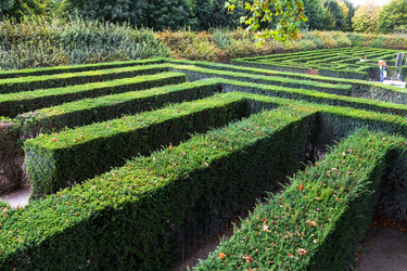 Similar image 8864615