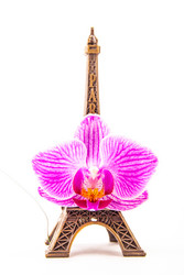 Similar image 8866742