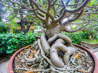 Similar image 8867270