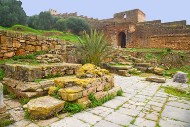 Similar image 8867680