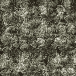 Similar image 8868960