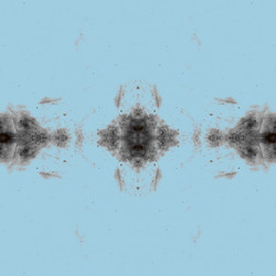 Similar image 8868994