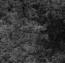 Similar image 8869304