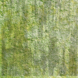 Similar image 8869306