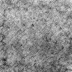 Similar image 8869599