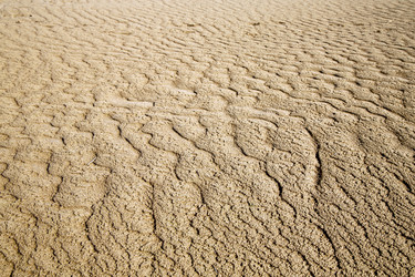 Similar image 8870816