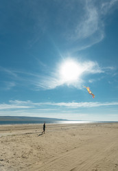 Similar image 8873543