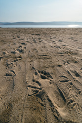 Similar image 8873893