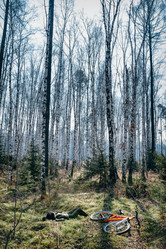 Similar image 8873900